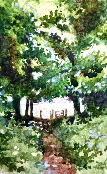 Woodland path
